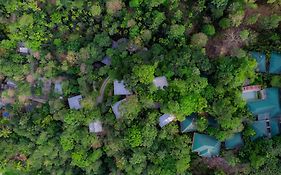The Hive Wayanad